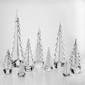 Signature Evergreen Forest