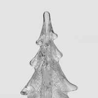 Silver Leaf Evergreen view 5