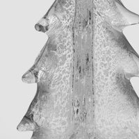 Silver Leaf Evergreen view 6