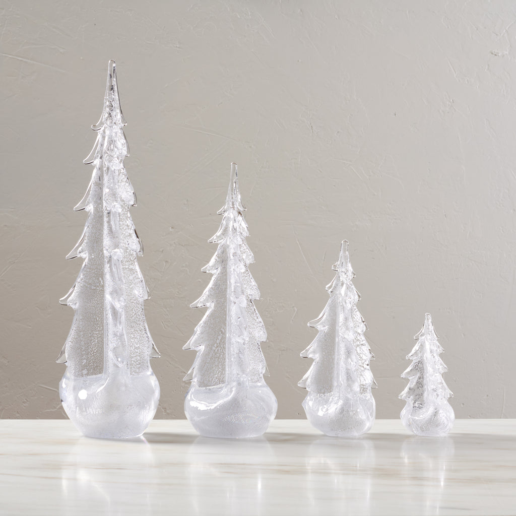 Silver Leaf Evergreen view 2