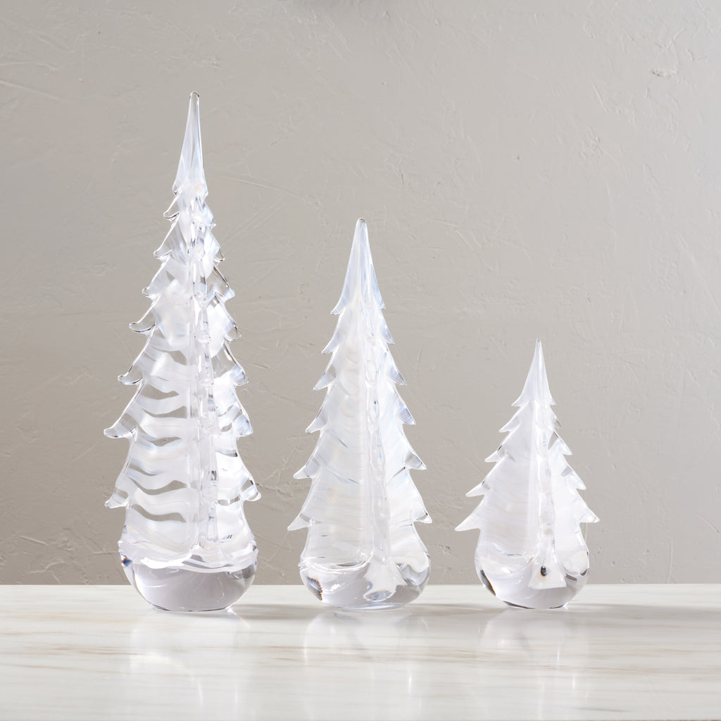 Snowdrift Evergreen in Gift Box view 2