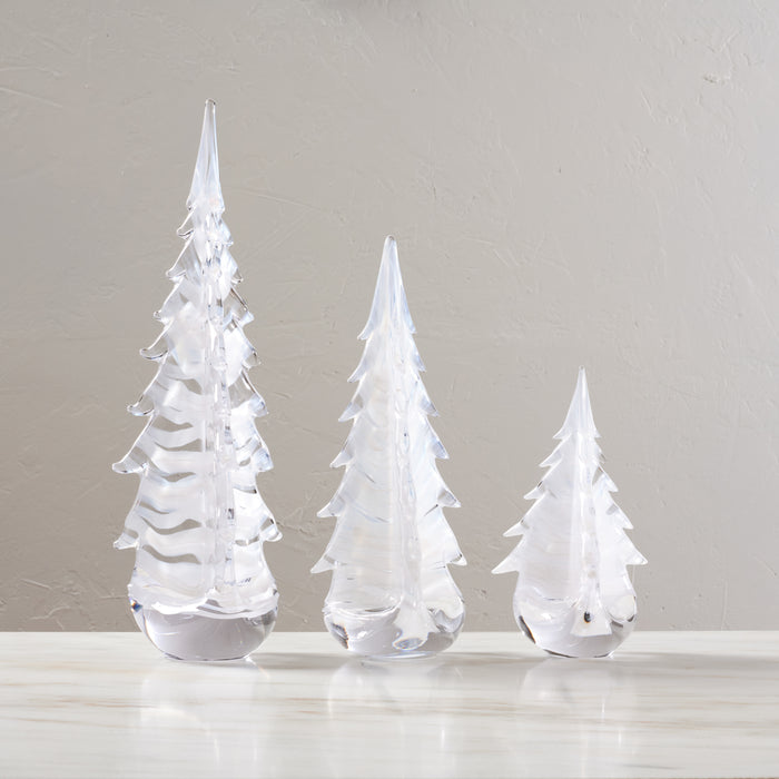Snowdrift Evergreen in Gift Box view 2
