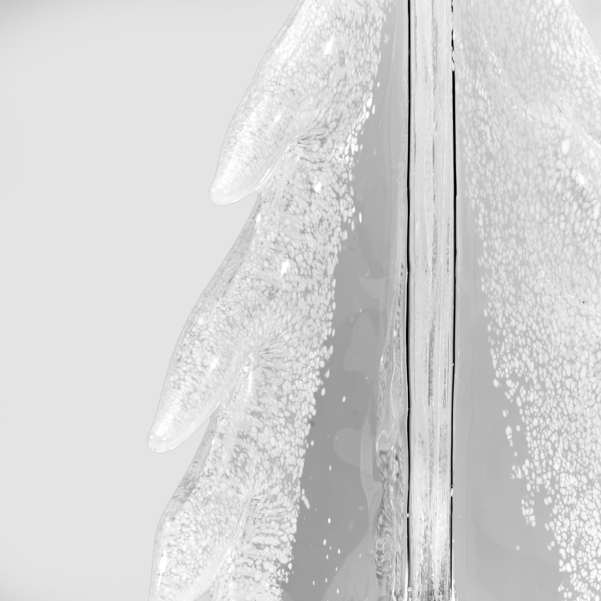 Snow-covered evergreen branches with frost crystals next to weathered wood paneling.