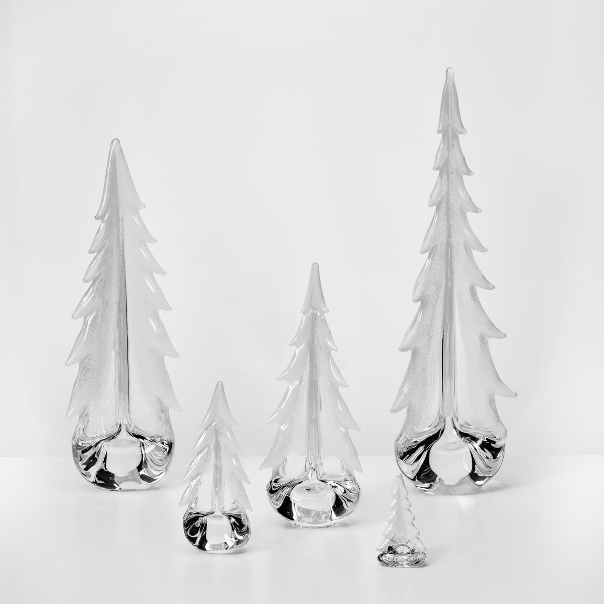 Snowy Branches Evergreen Forest