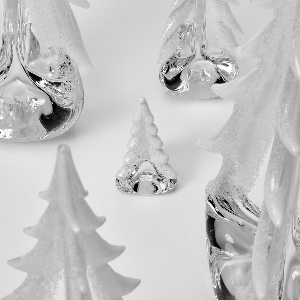 Snowy Branches Evergreen Forest
