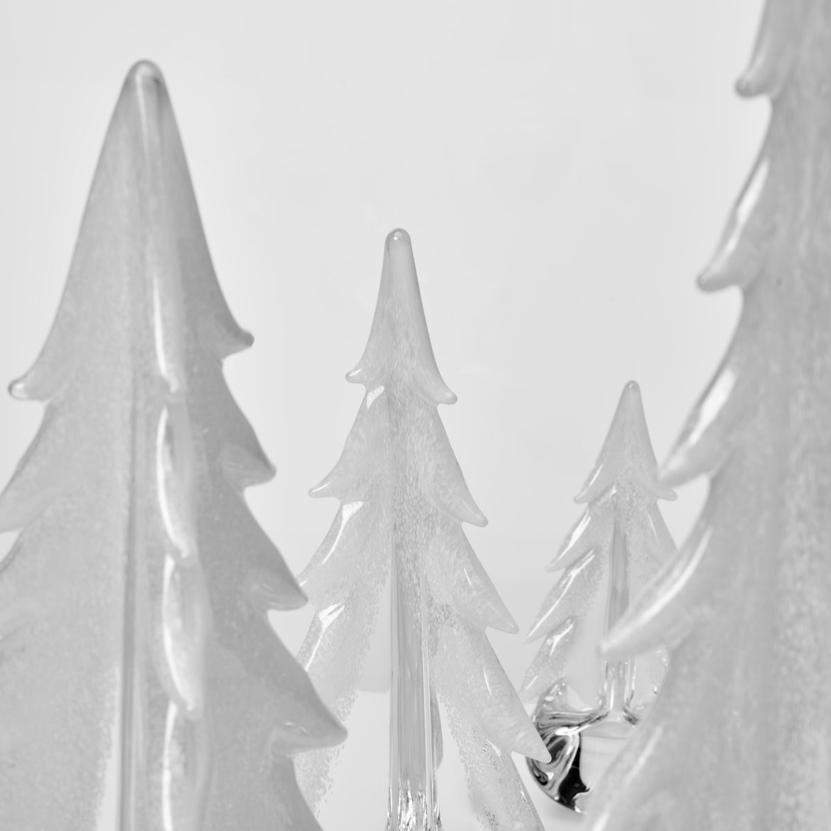 Snowy Branches Evergreen Forest