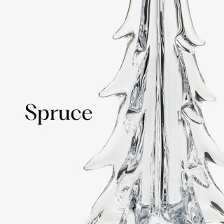 Spruce Evergreen view 1