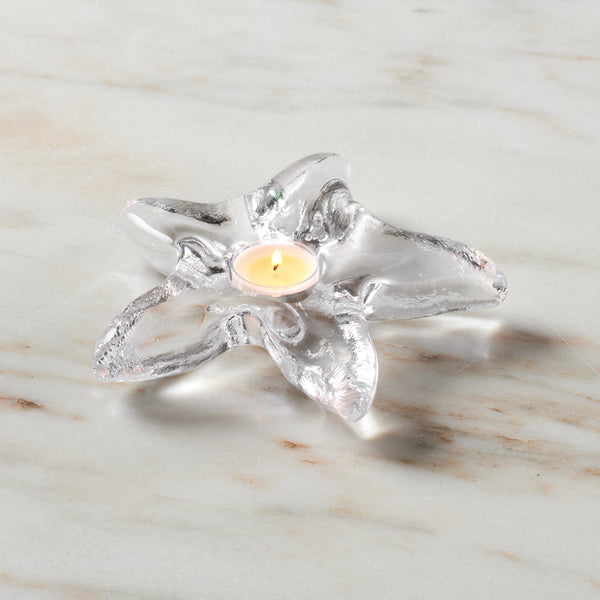 Starfish Tealight in Gift Box view 2