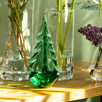 Recycled Green Mountain Evergreen in Gift Box - 10 Inch view 5