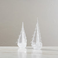 Vela Evergreen in Gift Box view 2