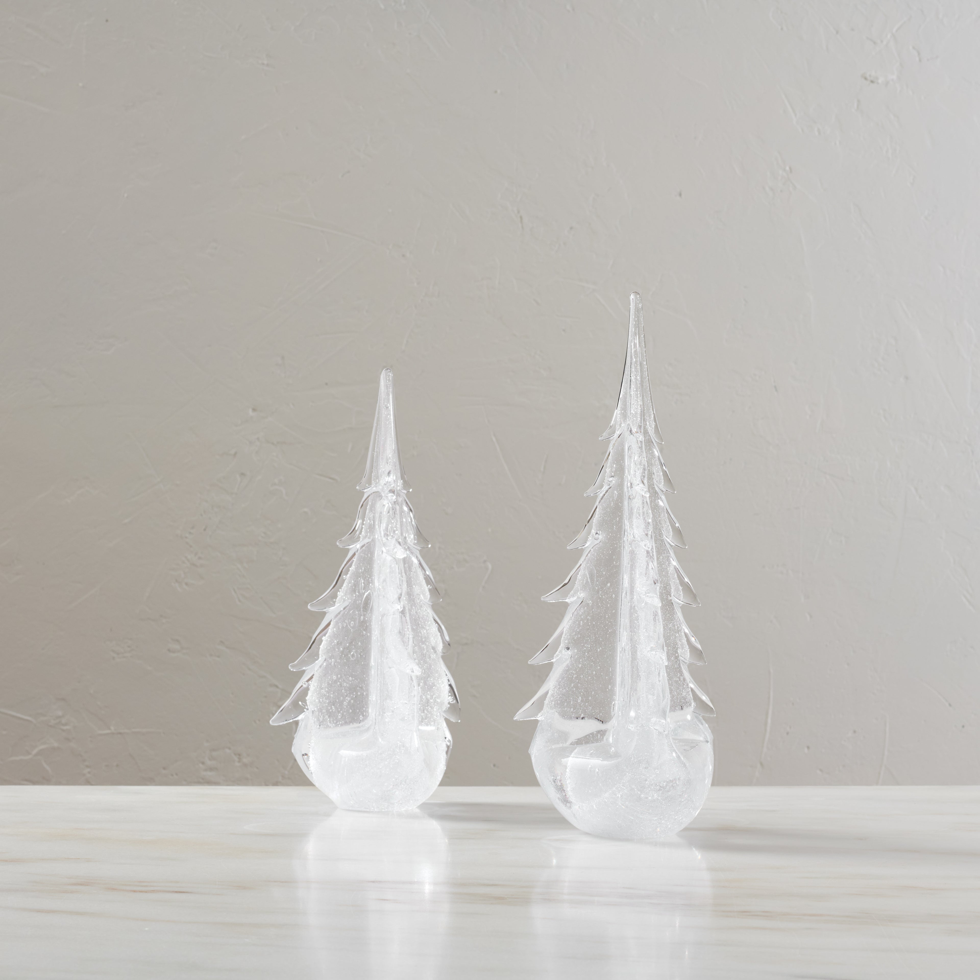 Vela Evergreen in Gift Box