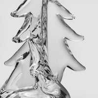 Vermont Twist Evergreen in Gift Box view 6