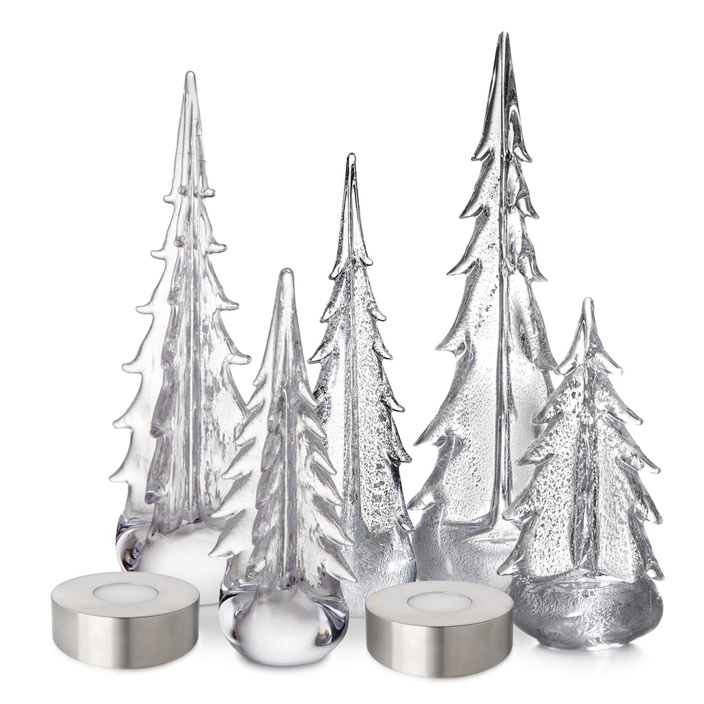 Winter Radiance Forest view 1