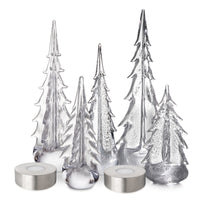 Winter Radiance Forest view 1