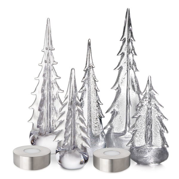 Winter Radiance Forest view 1