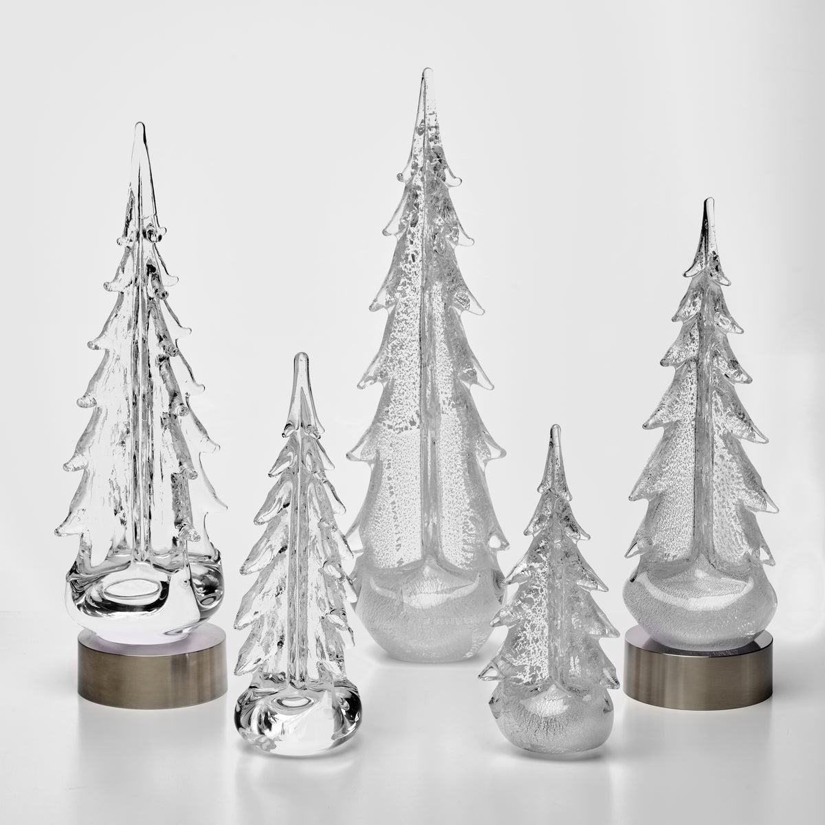 Winter Radiance Forest