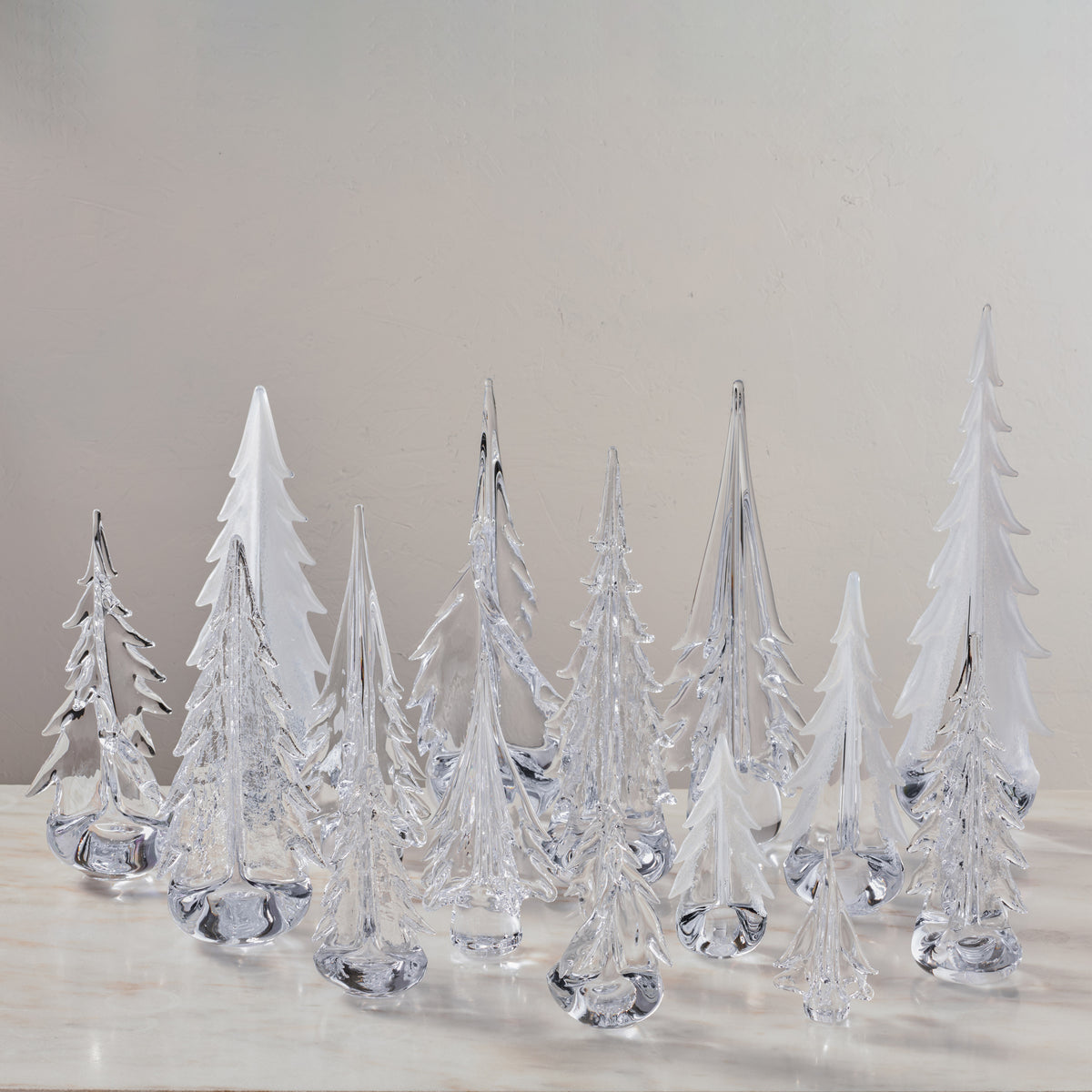 Winter Solstice Forest