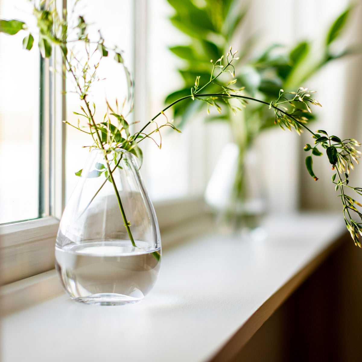 Clear glass teardrop vase with water and delicate green stems and small flowers displayed on a windowsill.