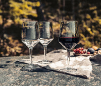 Bristol Red Wine view 4