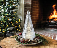 Echo Lake Evergreen view 8