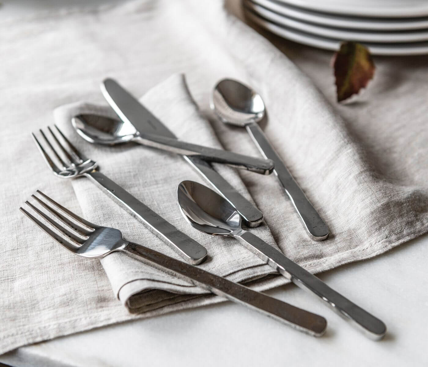 Orleans 5-Piece Flatware Setting