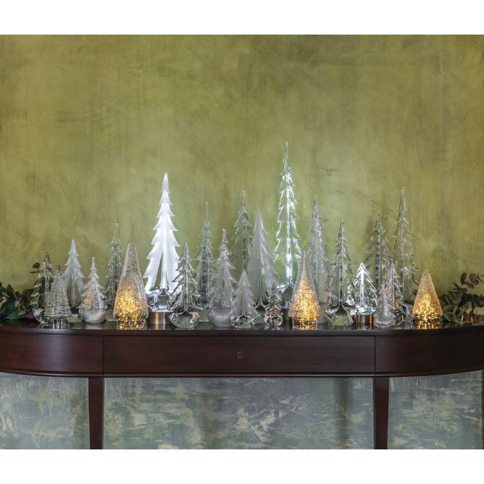 Enchanted Forest view 5