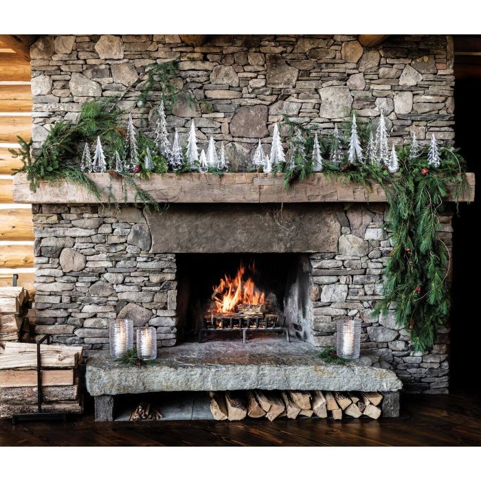 Enchanted Forest view 4