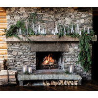 Enchanted Forest view 4