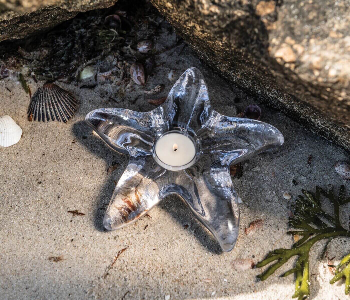 Starfish Tealight in Gift Box