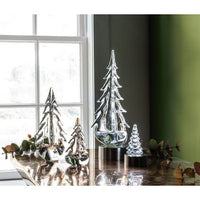 Young Evergreen Grove view 2