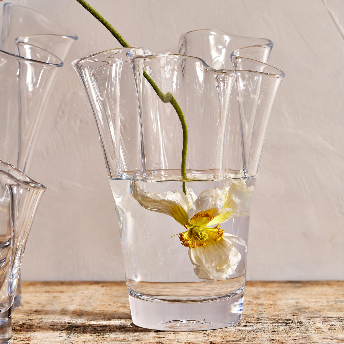 Clear glass vase with scalloped petal-shaped rim holding white and yellow anemone flower with green stem in water.