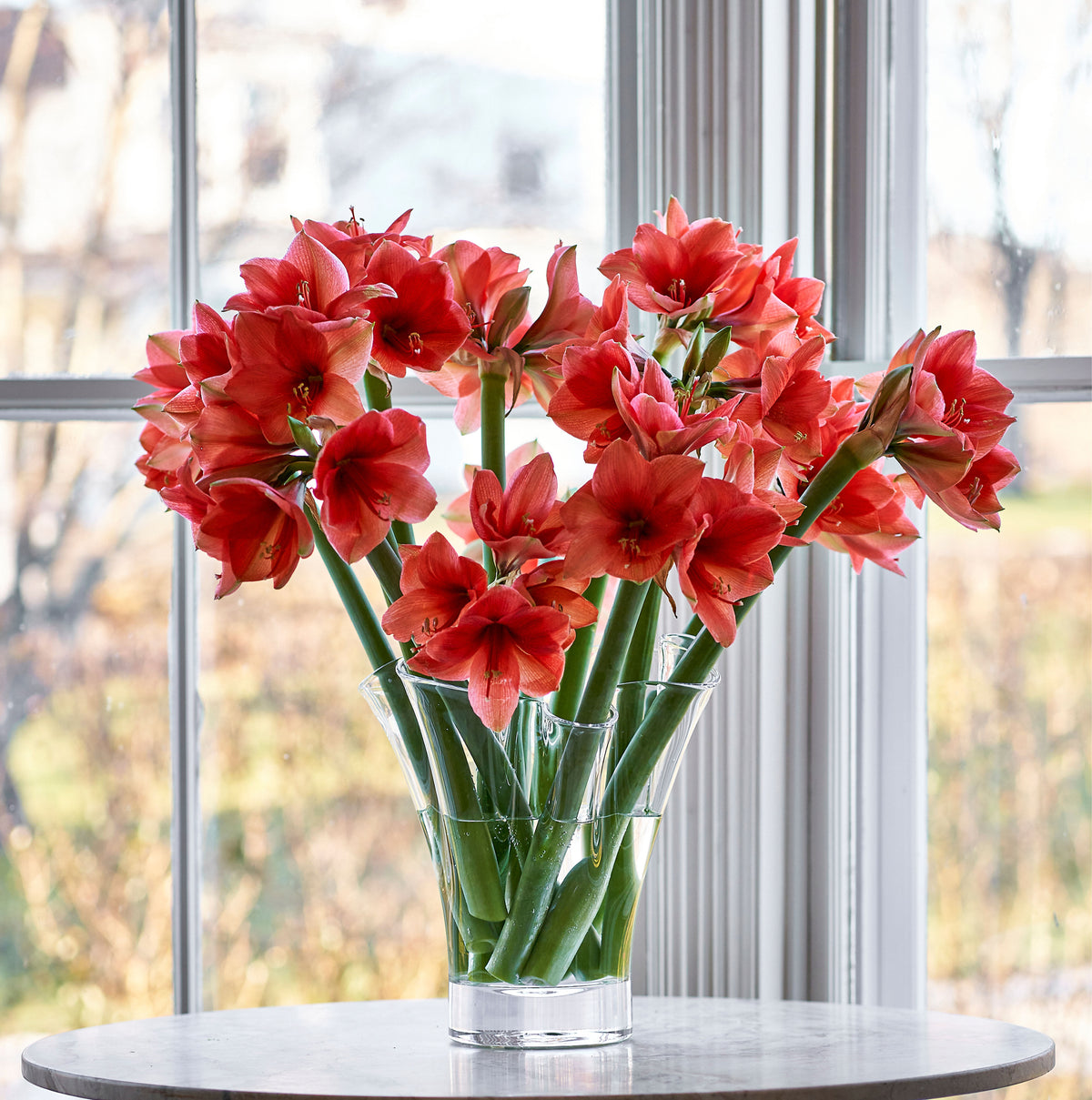 Pure Anemone Vase