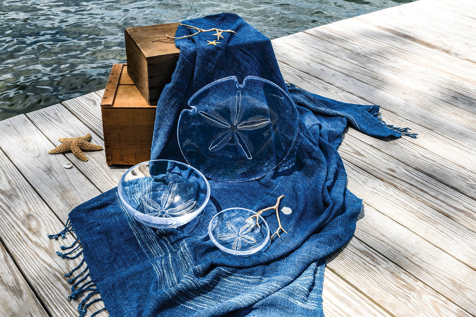 Sand Dollar Plate - M