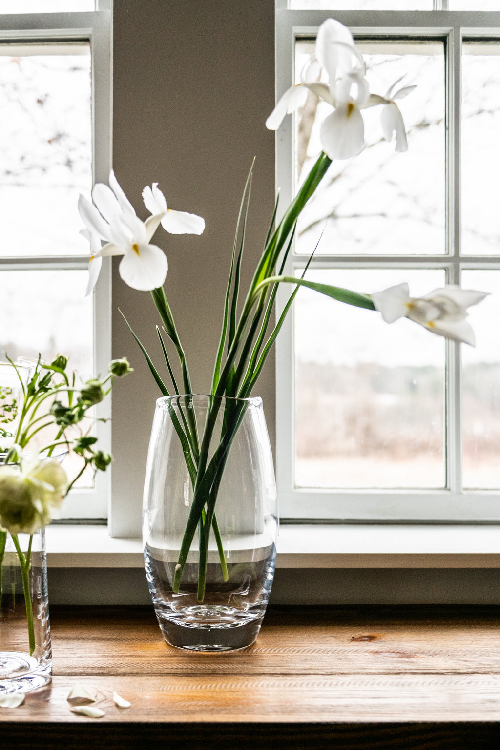 Burlington Vase - L view 5