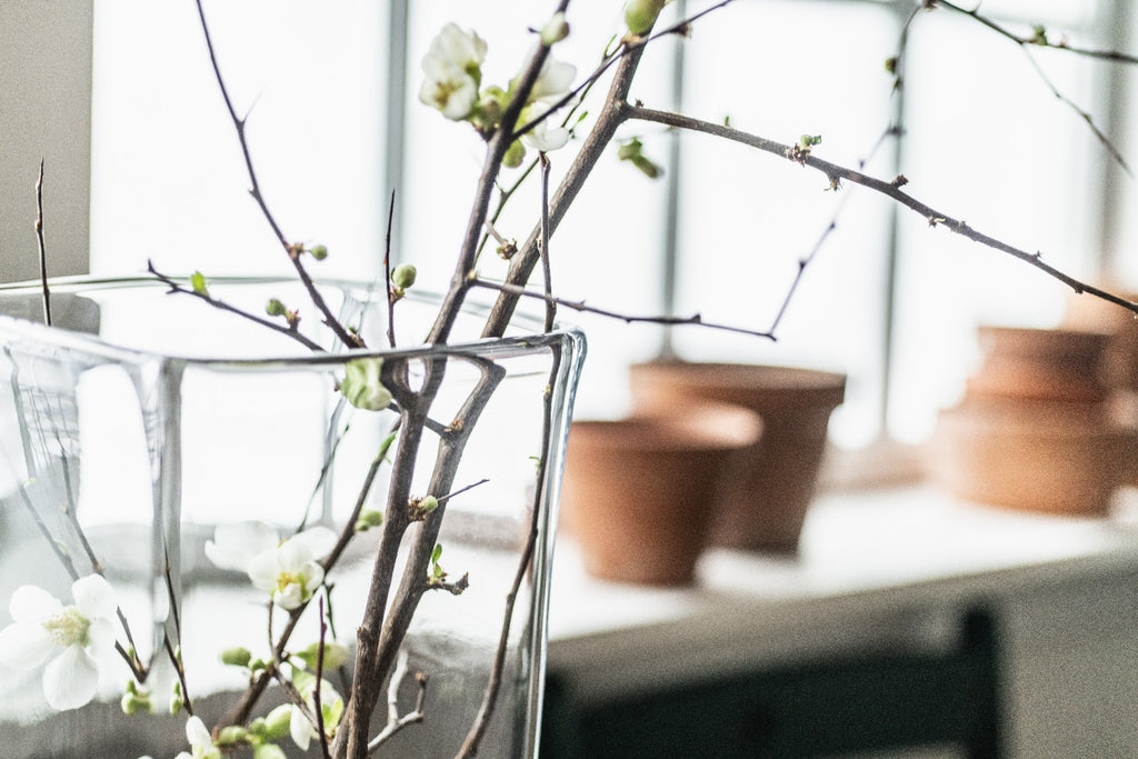 Woodbury Vase view 5