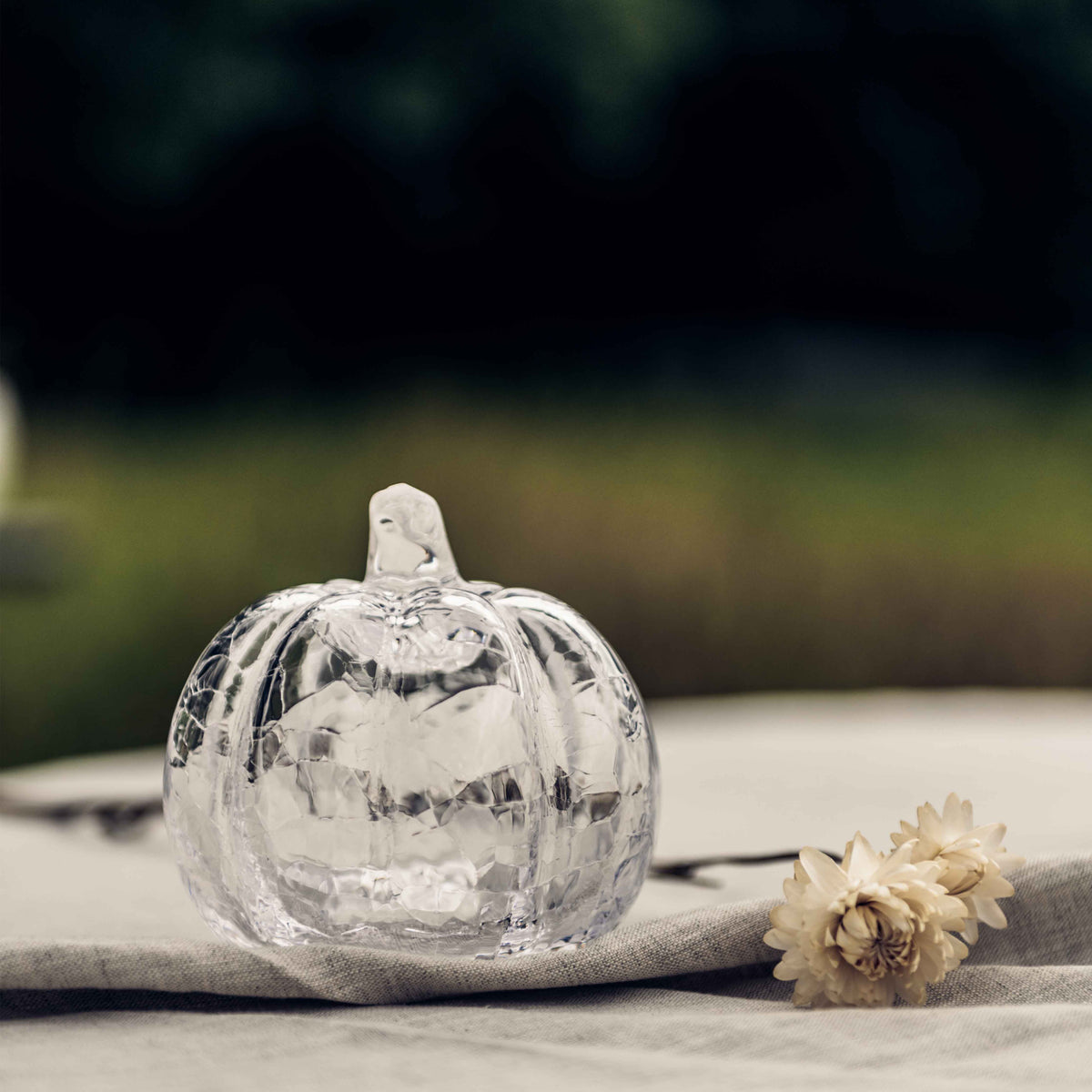 Clear textured glass pumpkin with stem on beige fabric next to dried flower.