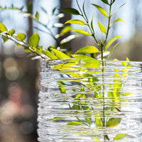 Echo Lake Hurricane in Gift Box view 7