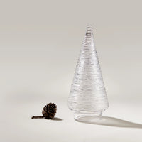 Echo Lake Evergreen view 5