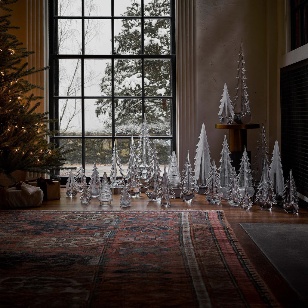 Enchanted Forest view 2