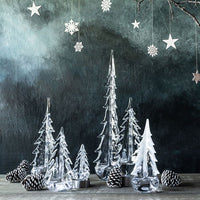 Grand Evergreen Forest view 4