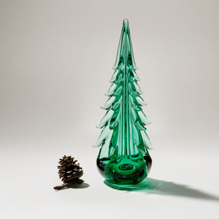 Green Mountain Five-Sided Evergreen in Gift Box view 2