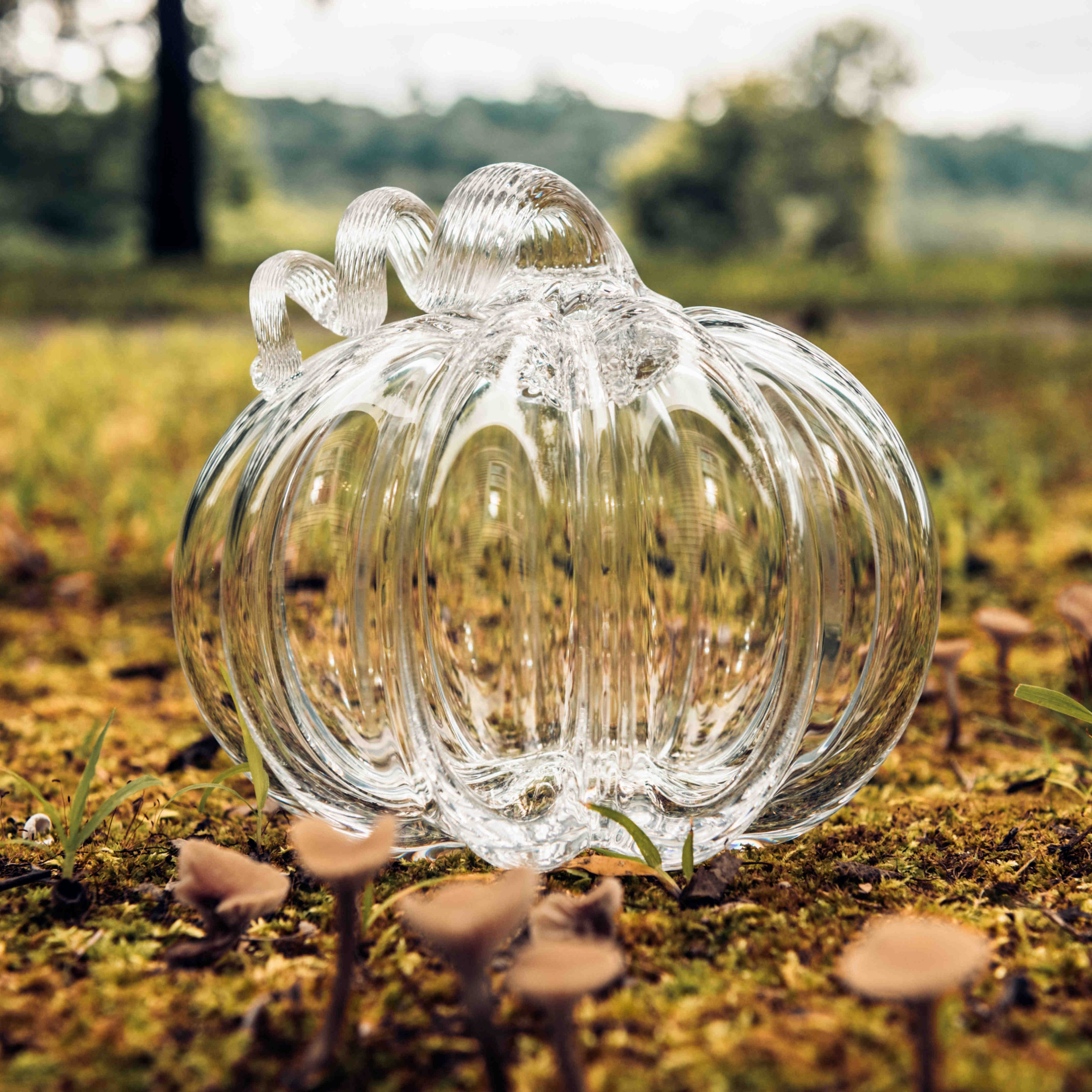 Clear glass pumpkin-shaped decorative piece with ribbed texture and bow accent on soil with field background.