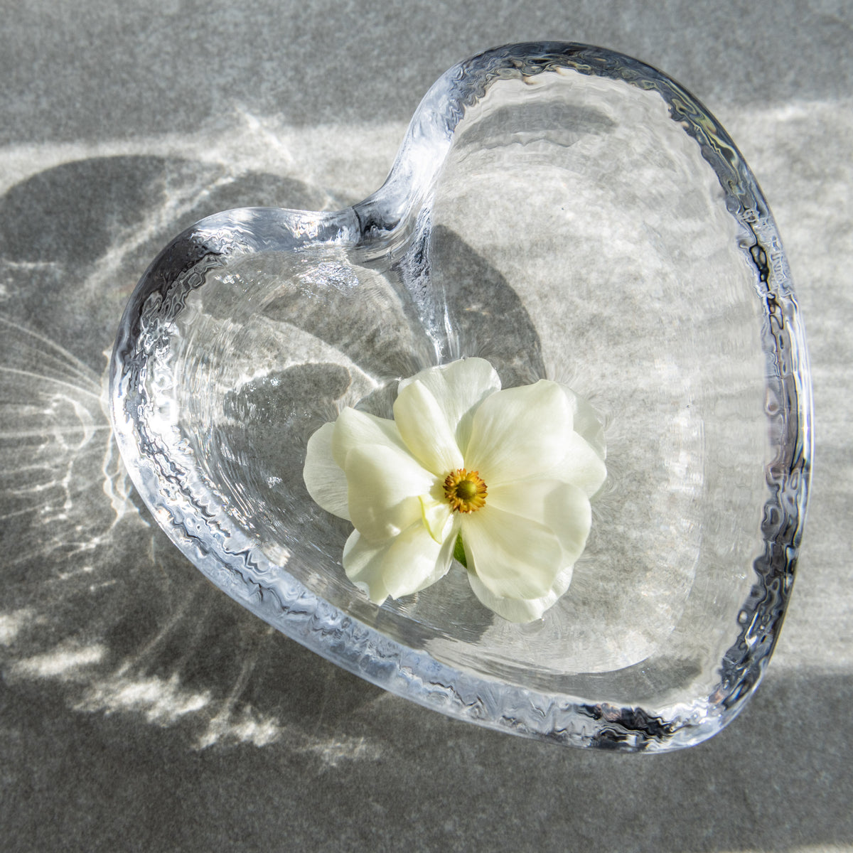 Large heart-shaped clear glass dish with textured blue-gray rim, containing a white flower with yellow center.