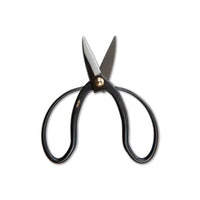 Niwaki Sentei Garden Scissors view 1