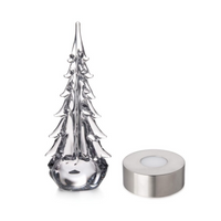 Illuminated Five Sided Evergreen view 1