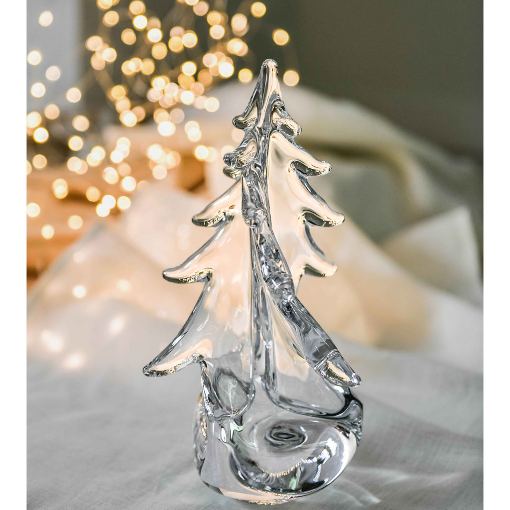 Vermont Twist Evergreen in Gift Box view 6