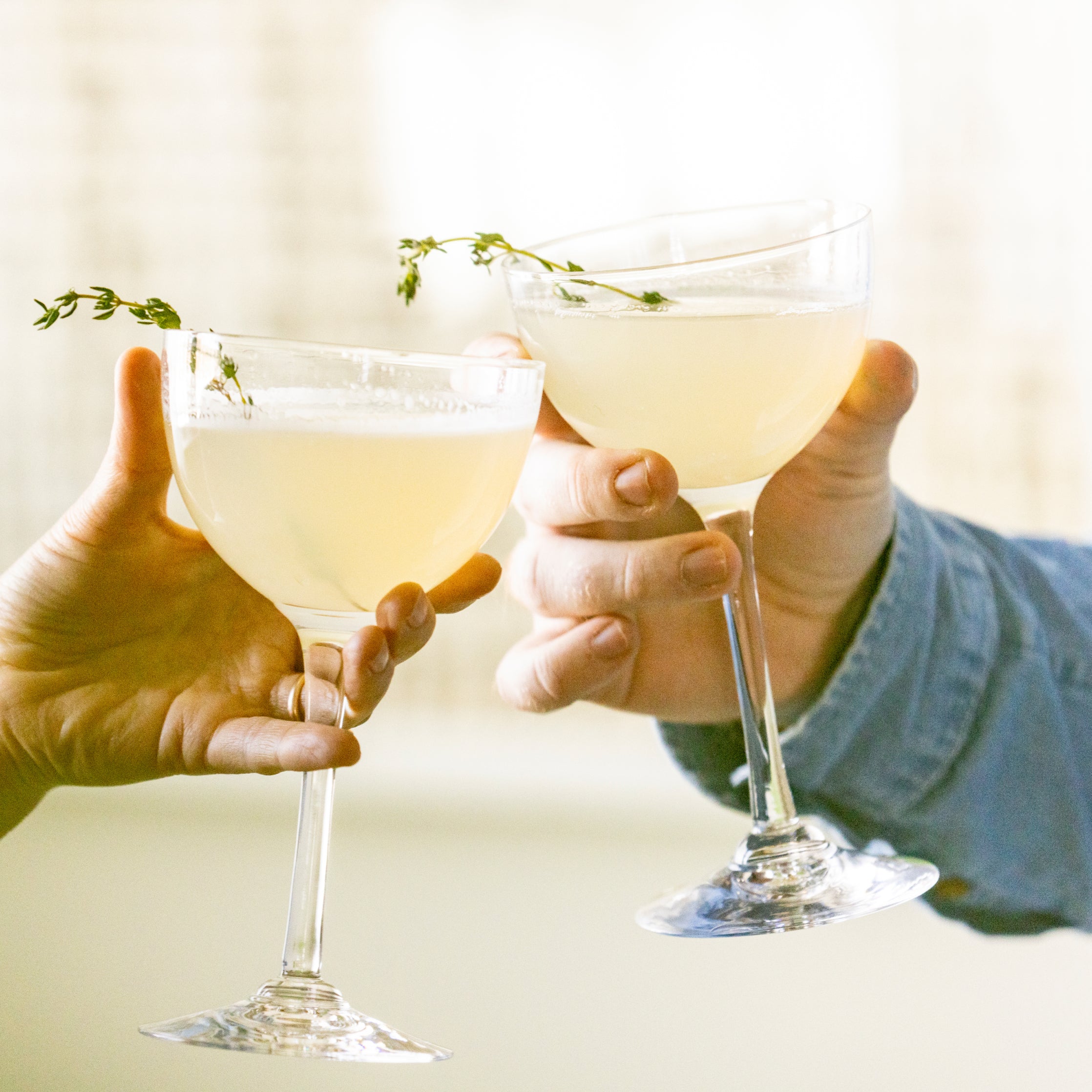 Two hands holding coupe glasses filled with pale yellow liquid and garnished with fresh herbs.
