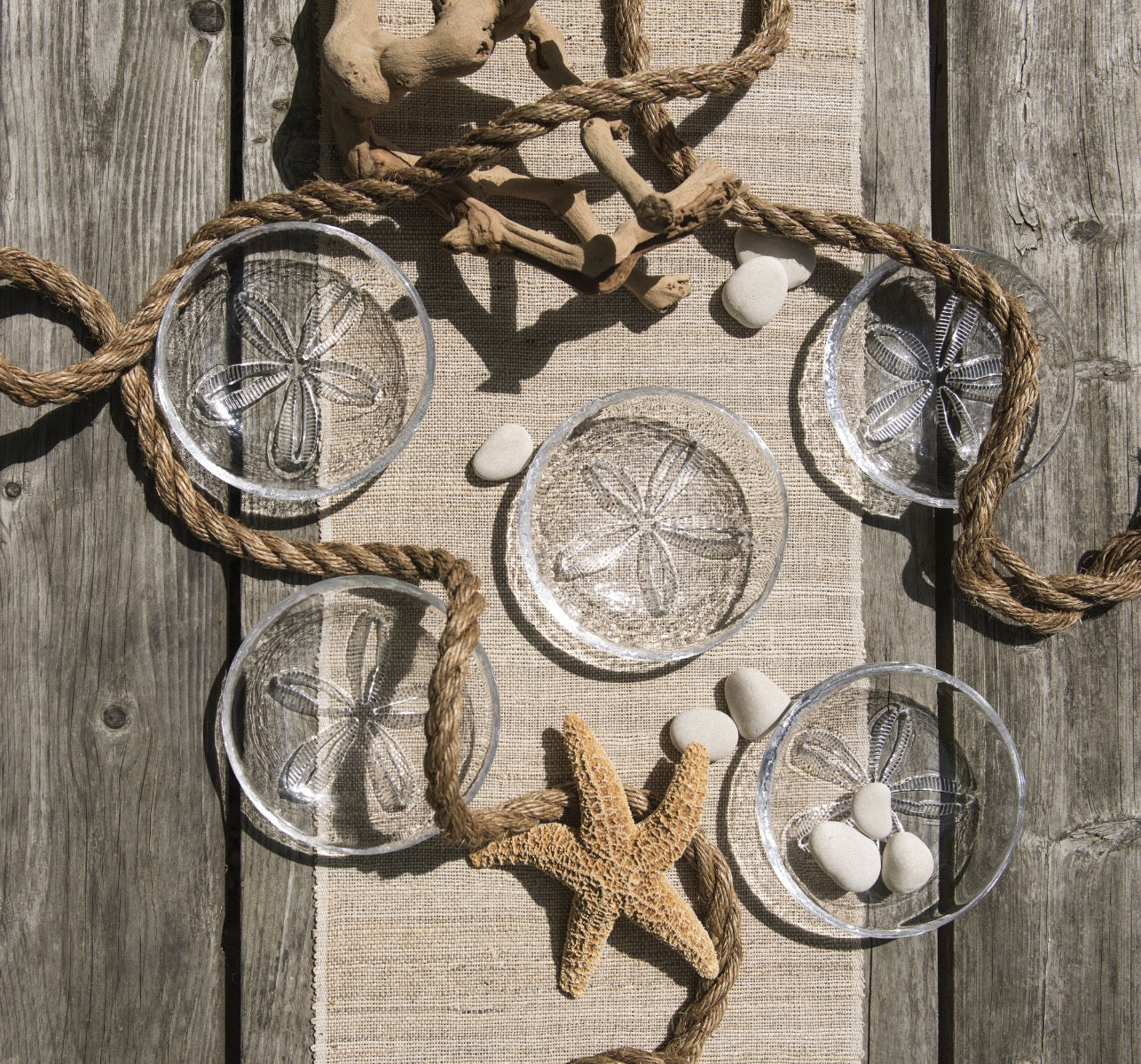 Sand Dollar Bowl