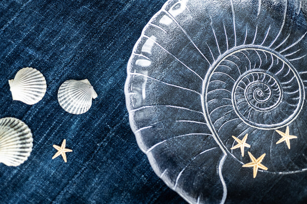 Shell Platter view 4