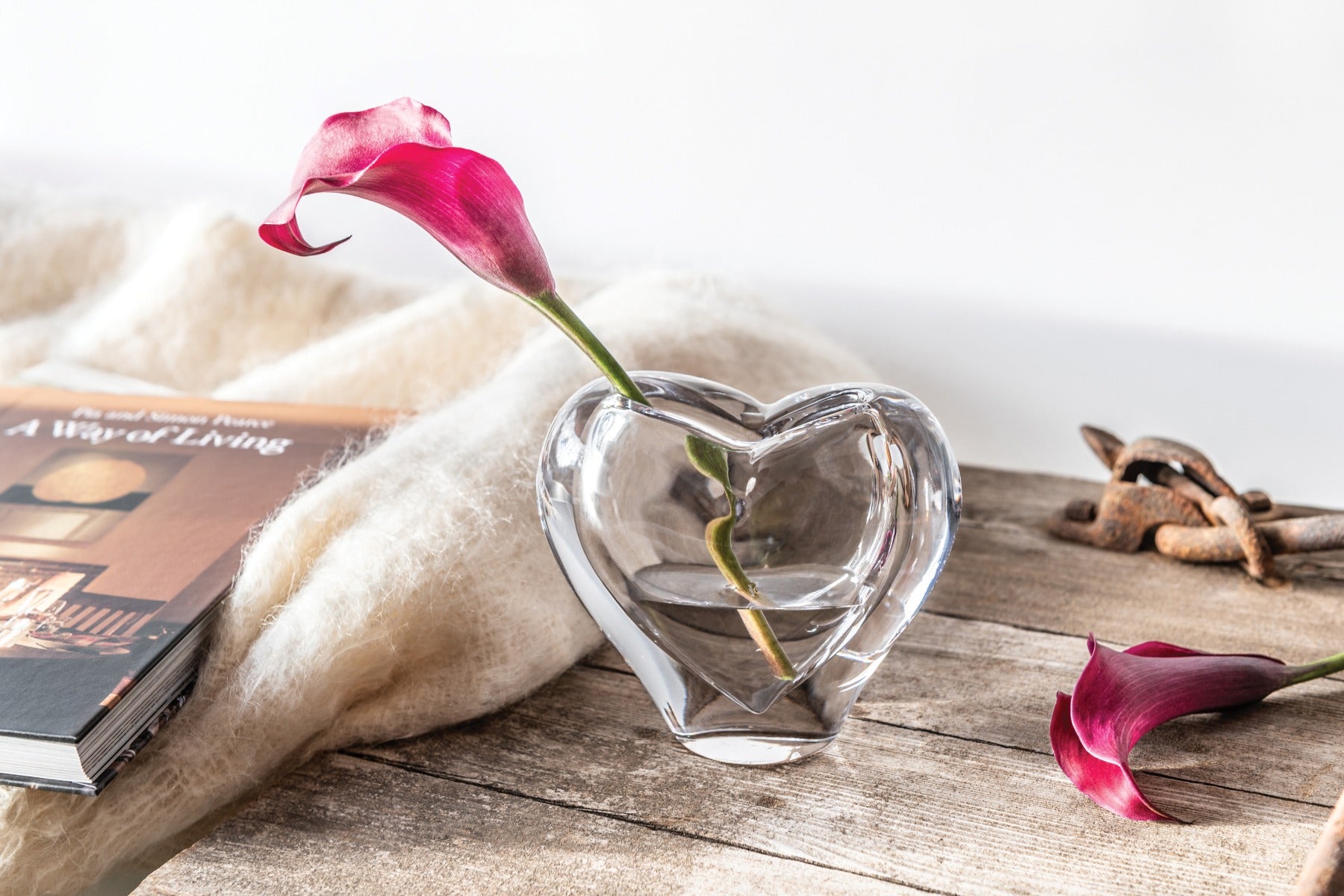 Romance Vase in Gift Box
